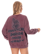 פוטר באגס באני